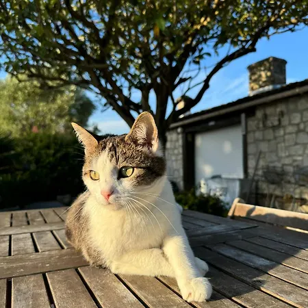 Σπίτι διακοπών 7 Avec Grande Piscine A 600 M De La *