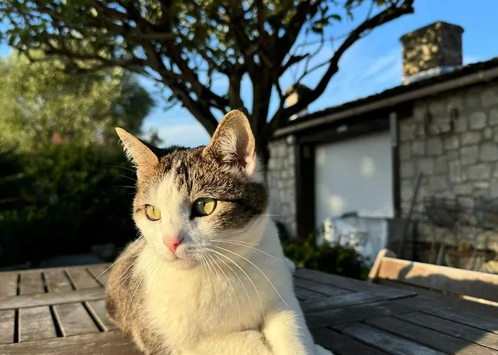 Holiday home 7 Avec Grande Piscine A 600 M De La *